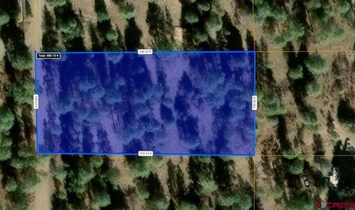 Picture of Residential Land For Sale in Pagosa Springs, Colorado, United States