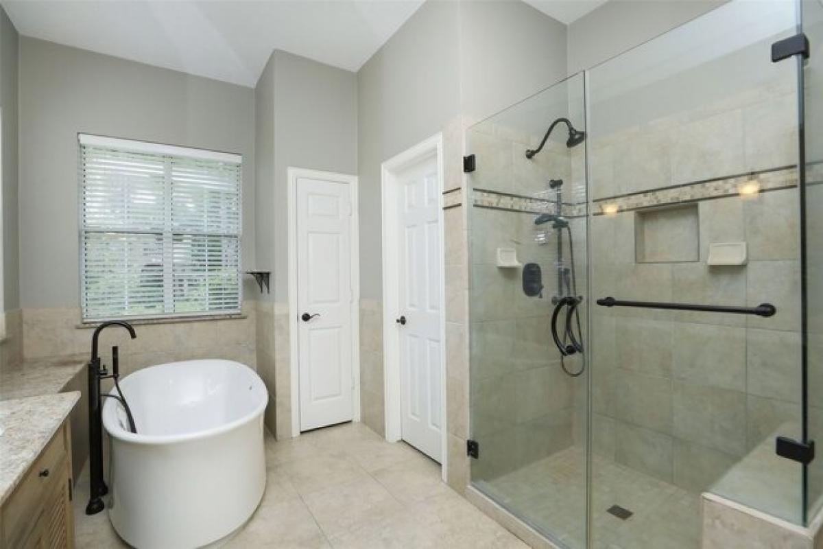 Picture of Home For Rent in The Woodlands, Texas, United States