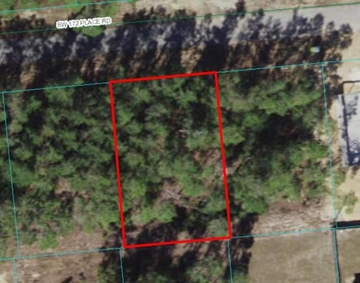 Picture of Residential Land For Sale in Ocala, Florida, United States