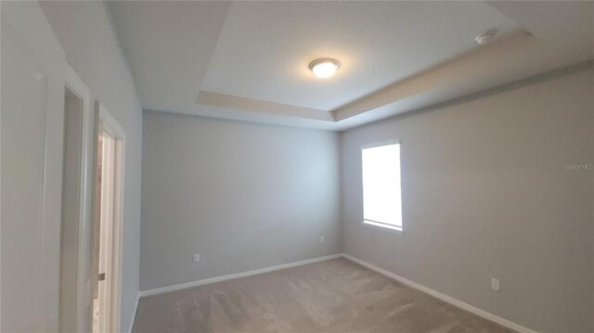 Picture of Home For Rent in Wesley Chapel, Florida, United States