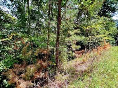 Residential Land For Rent in Ellijay, Georgia