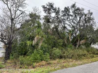 Residential Land For Sale in Spring Hill, Florida