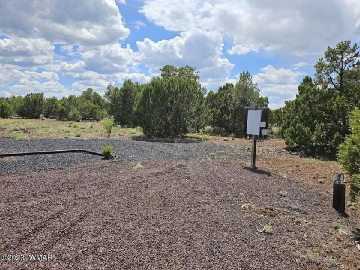 Picture of Residential Land For Sale in Vernon, Arizona, United States