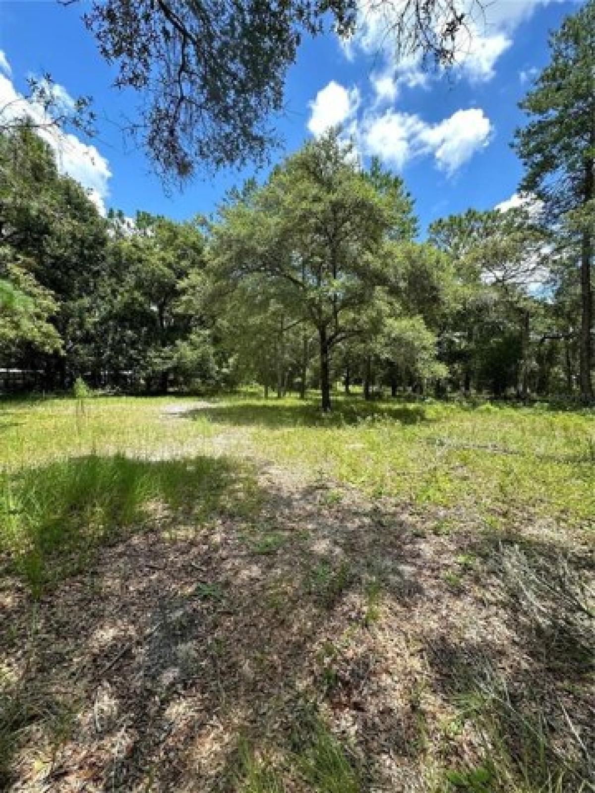 Picture of Residential Land For Sale in Spring Hill, Florida, United States