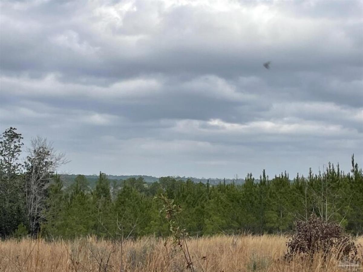 Picture of Residential Land For Sale in Pace, Florida, United States