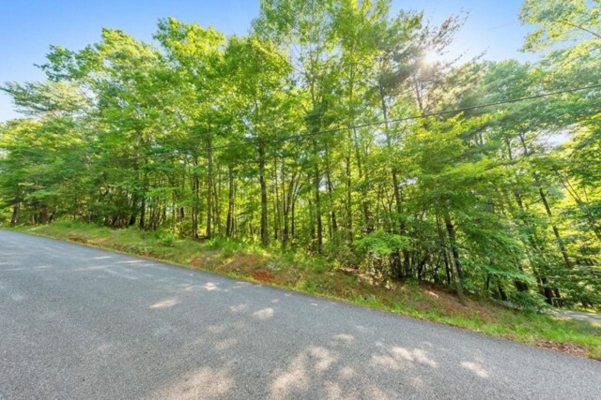 Picture of Residential Land For Sale in Ellijay, Georgia, United States