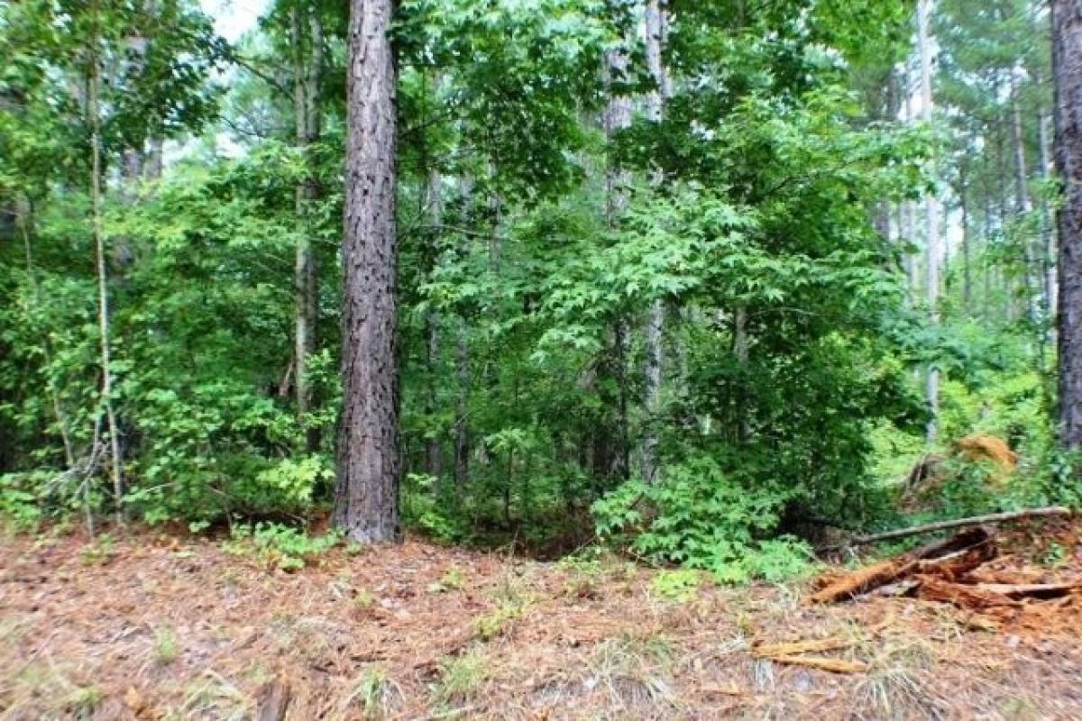 Picture of Residential Land For Rent in Rentz, Georgia, United States