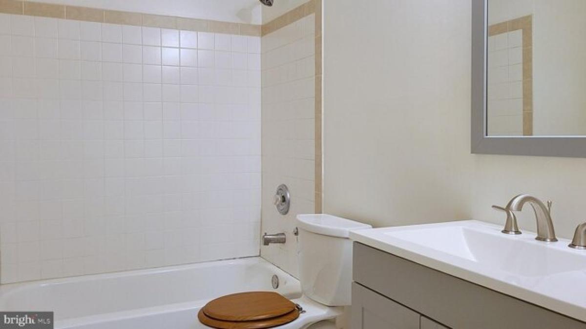 Picture of Apartment For Rent in Baltimore, Maryland, United States