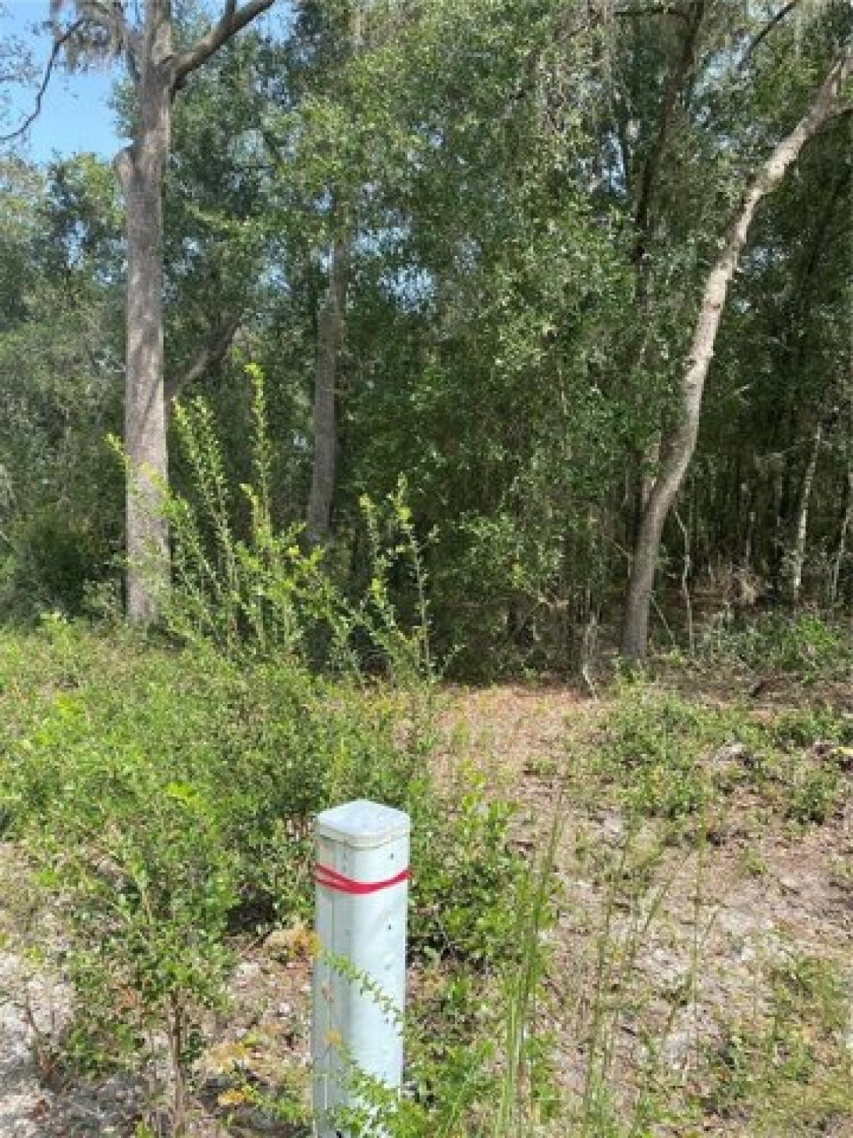 Picture of Residential Land For Sale in Inverness, Florida, United States