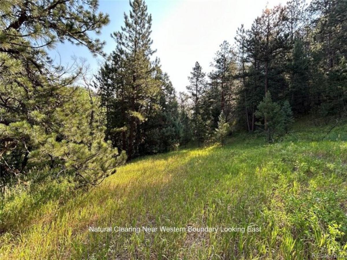 Picture of Residential Land For Sale in Boulder, Colorado, United States