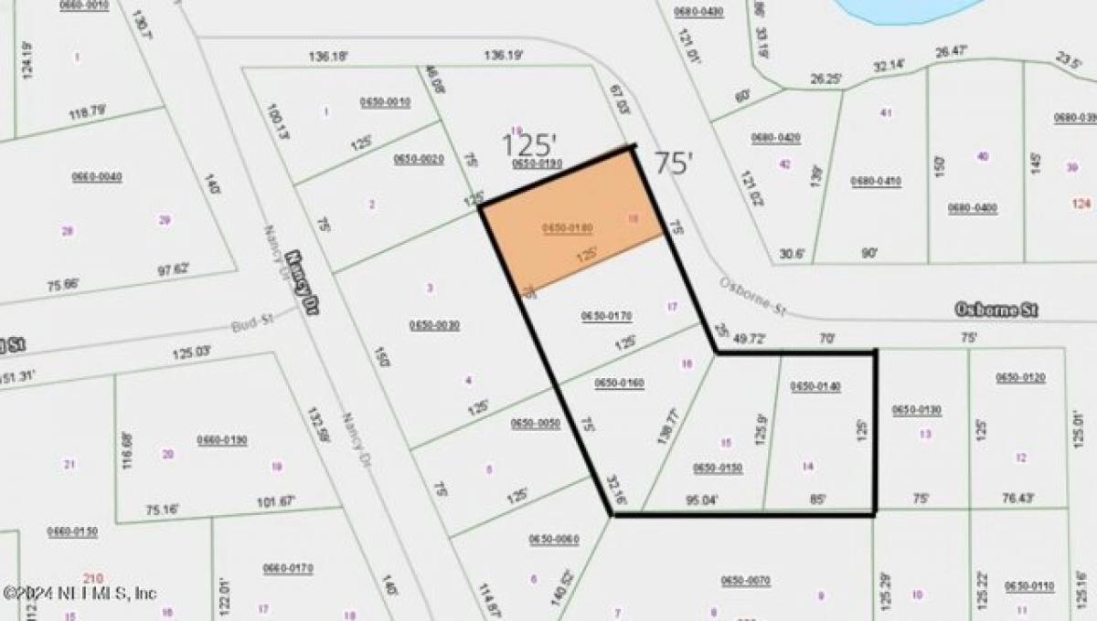 Picture of Residential Land For Sale in Interlachen, Florida, United States