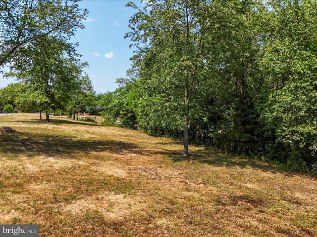 Picture of Residential Land For Sale in Hancock, Maryland, United States