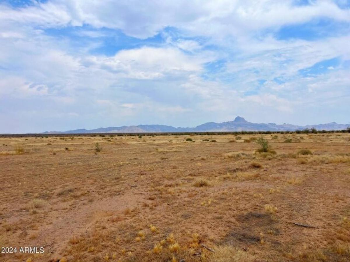 Picture of Residential Land For Sale in Tonopah, Arizona, United States