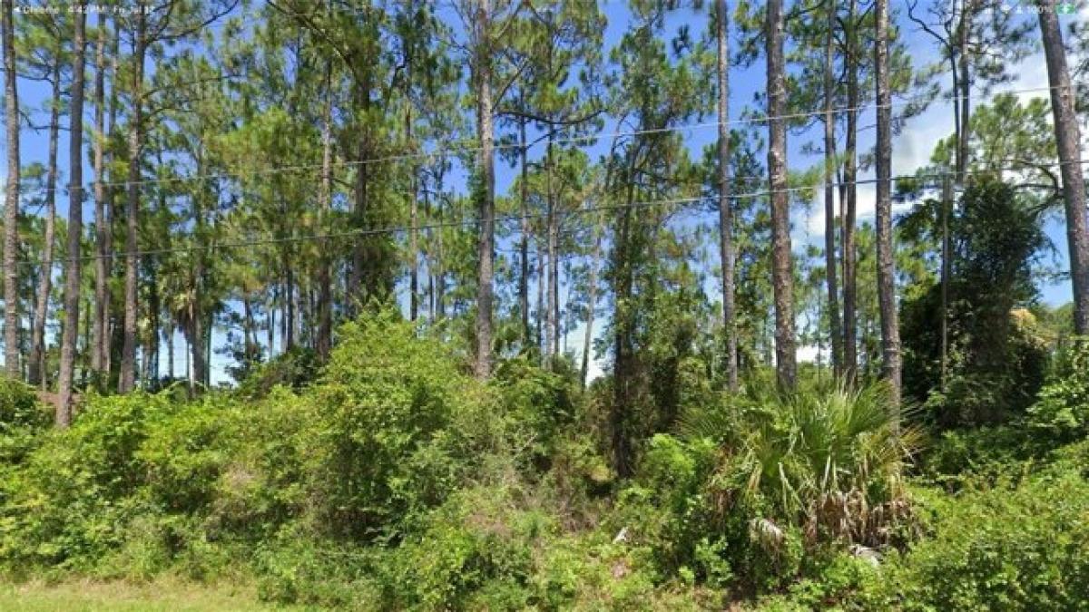 Picture of Residential Land For Sale in Palm Coast, Florida, United States