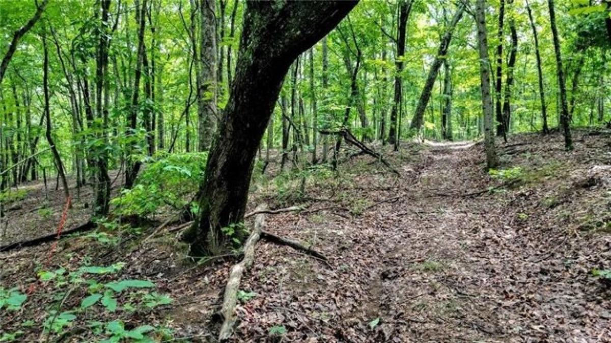 Picture of Residential Land For Sale in Jasper, Georgia, United States