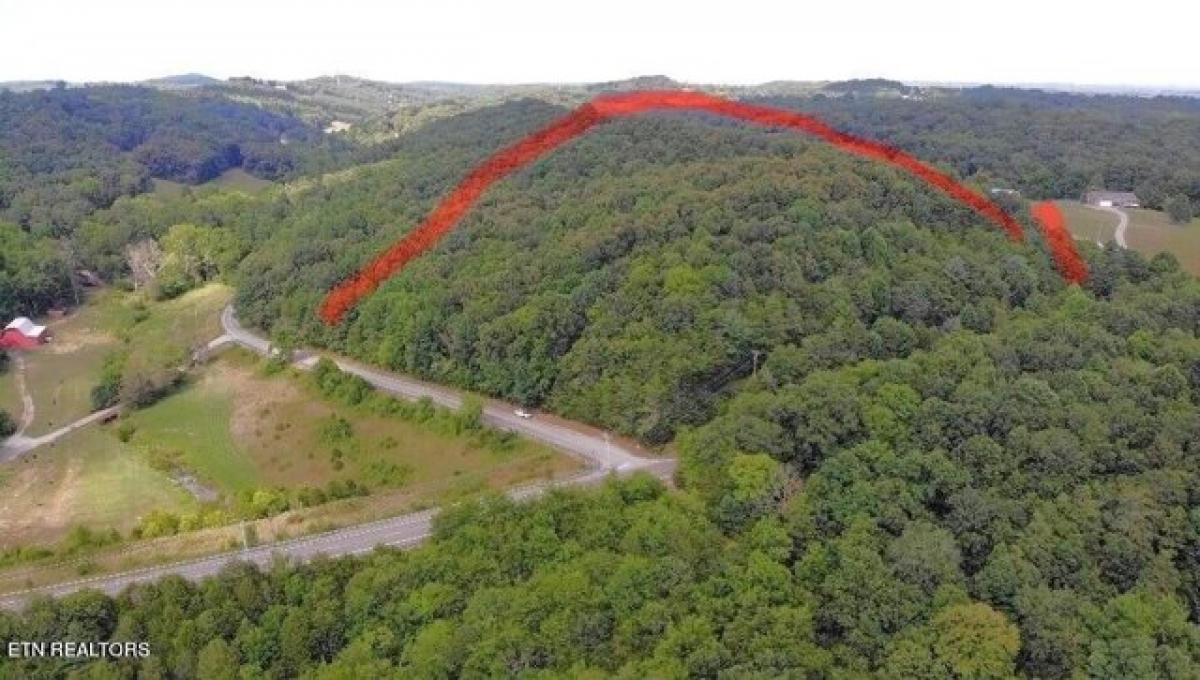 Picture of Residential Land For Sale in Loudon, Tennessee, United States