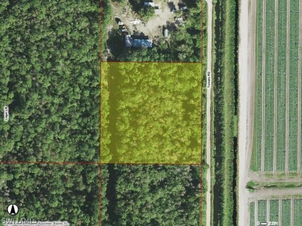 Picture of Residential Land For Sale in Naples, Florida, United States