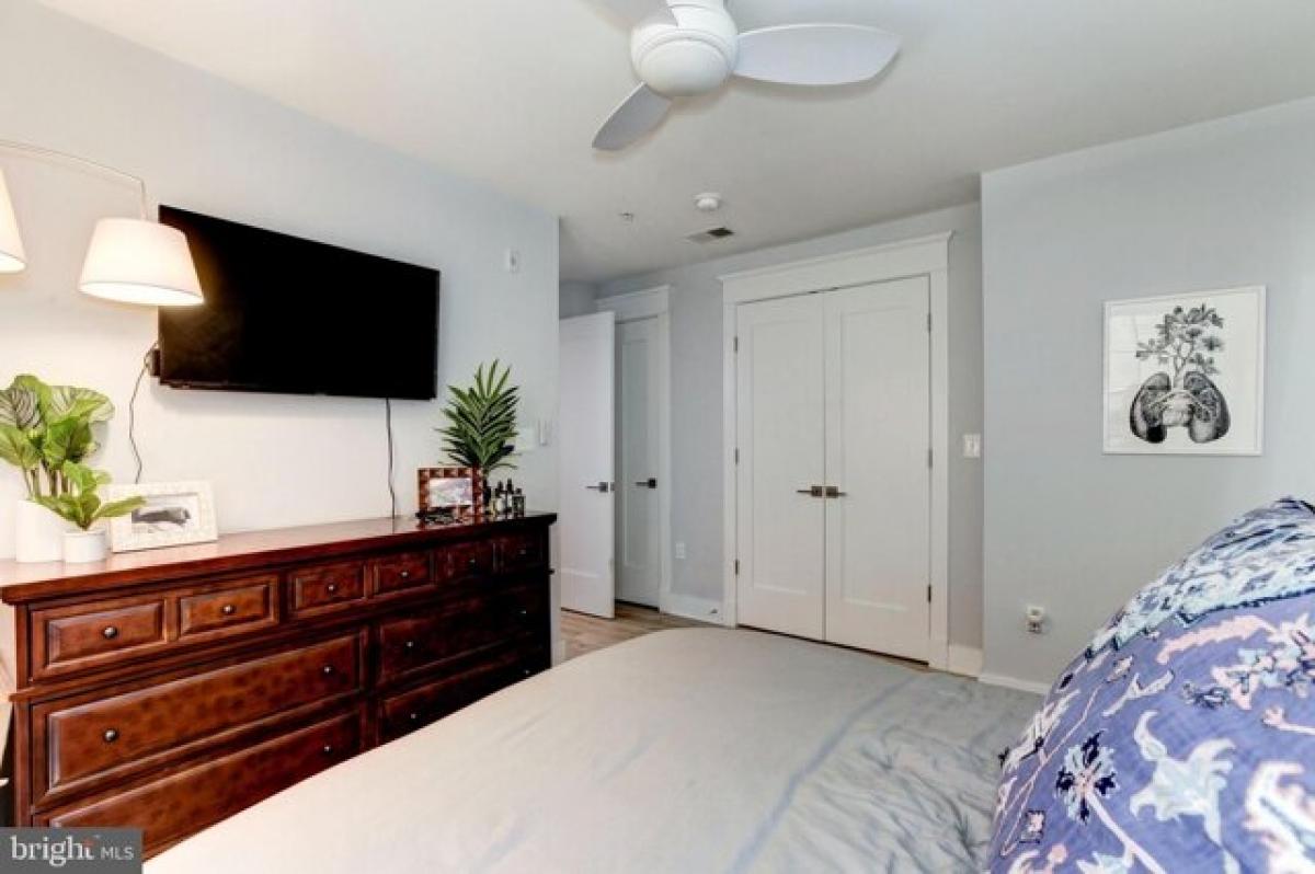 Picture of Apartment For Rent in Washington, District of Columbia, United States