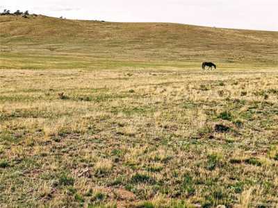 Residential Land For Sale in Hartsel, Colorado