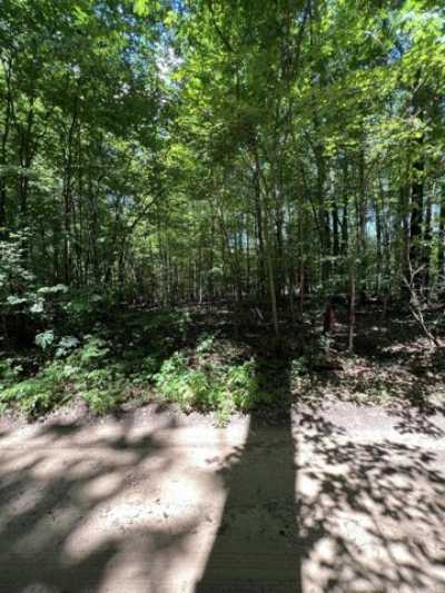 Residential Land For Sale in Grand Junction, Michigan