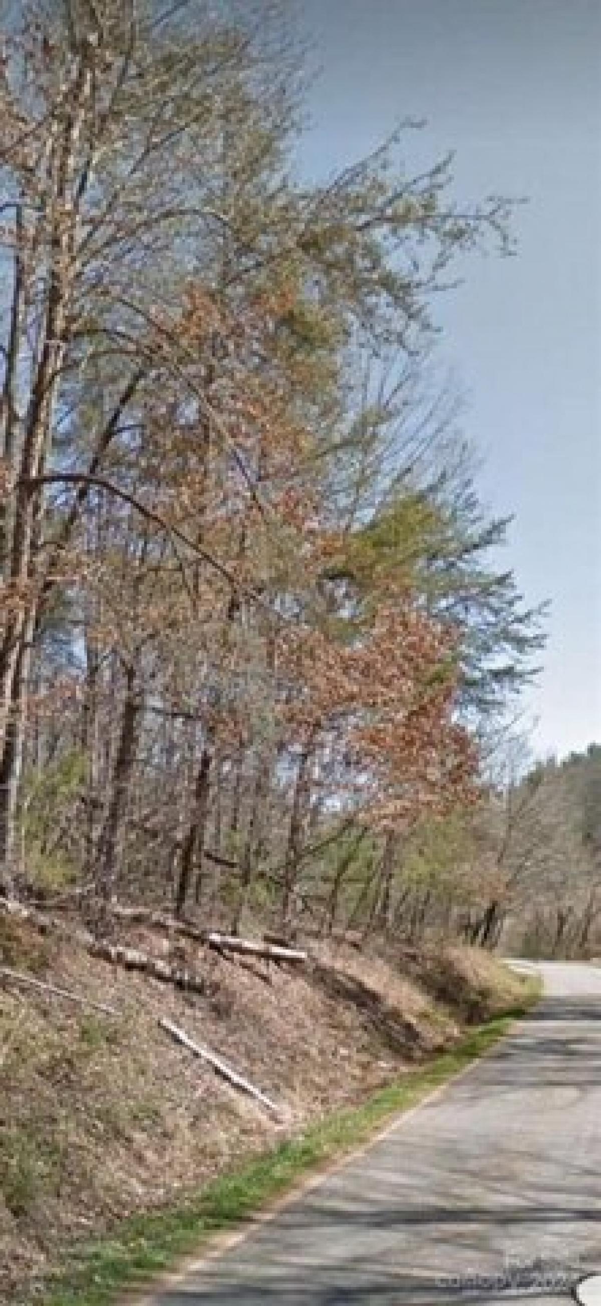 Picture of Residential Land For Sale in Asheville, North Carolina, United States