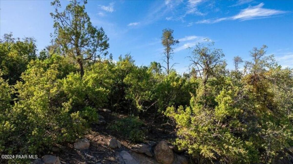 Picture of Residential Land For Sale in Prescott, Arizona, United States