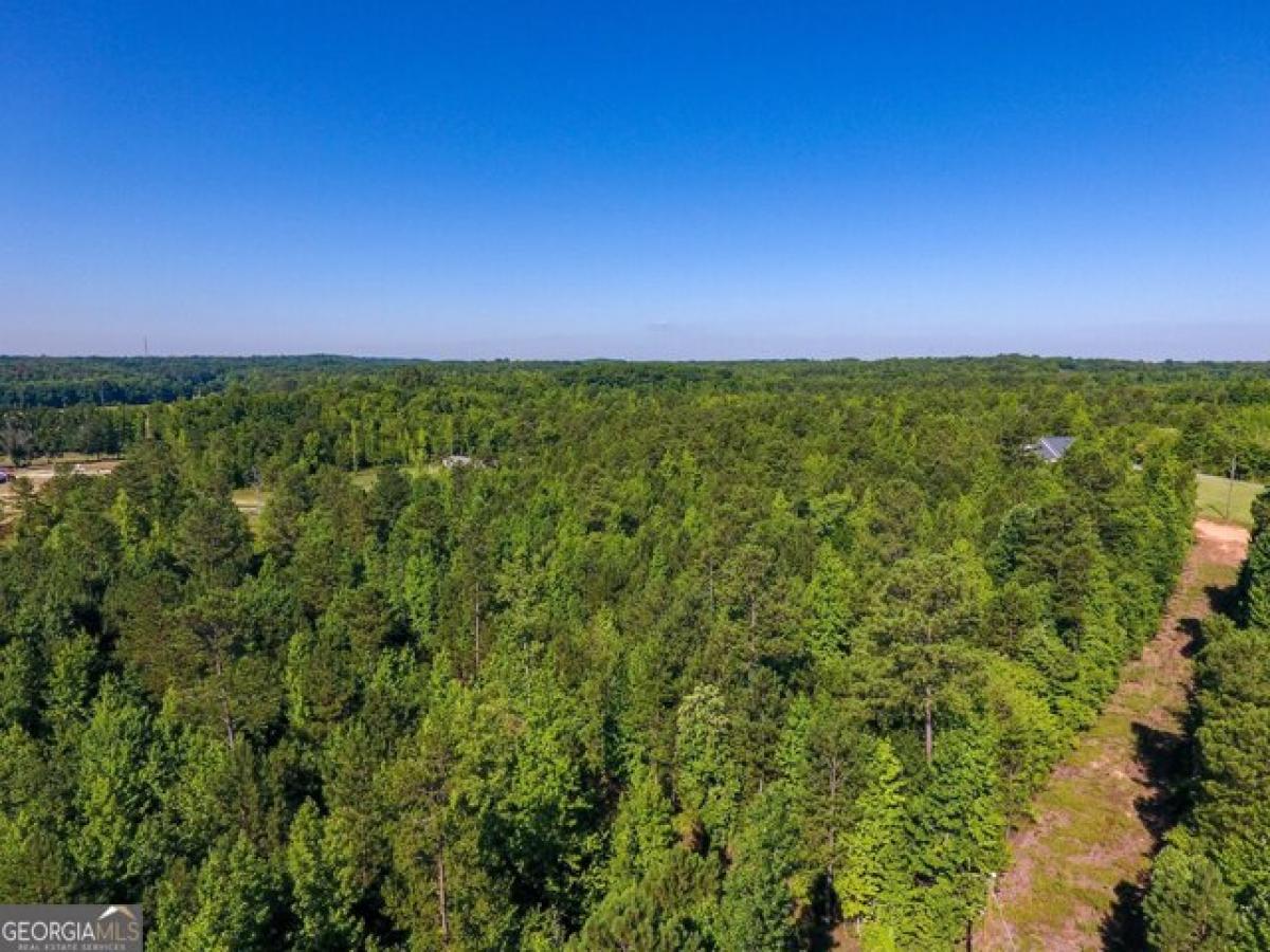 Picture of Residential Land For Sale in Buchanan, Georgia, United States