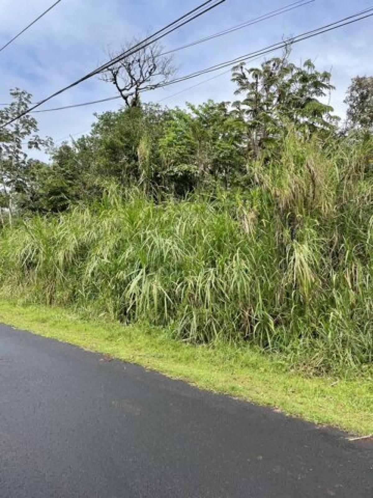Picture of Residential Land For Sale in Pahoa, Hawaii, United States