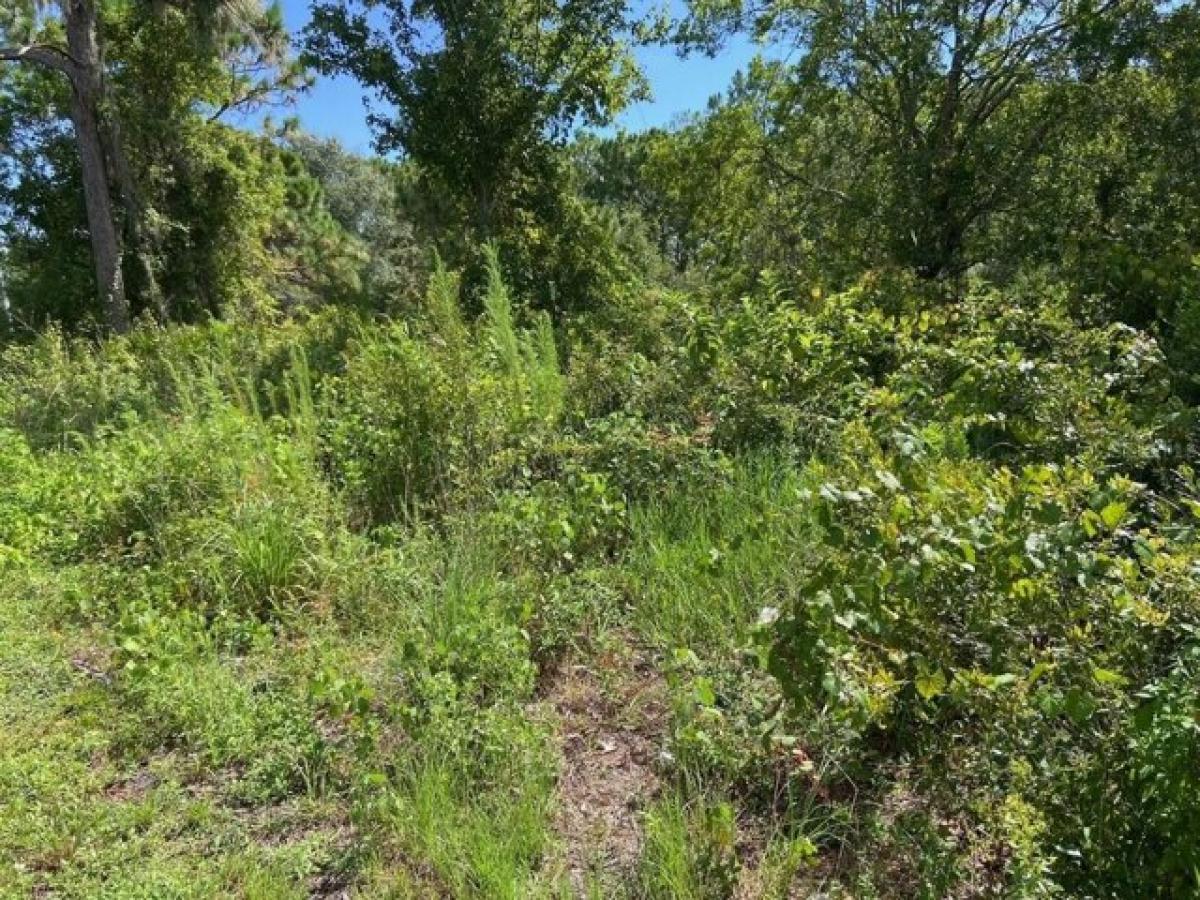 Picture of Residential Land For Sale in Interlachen, Florida, United States