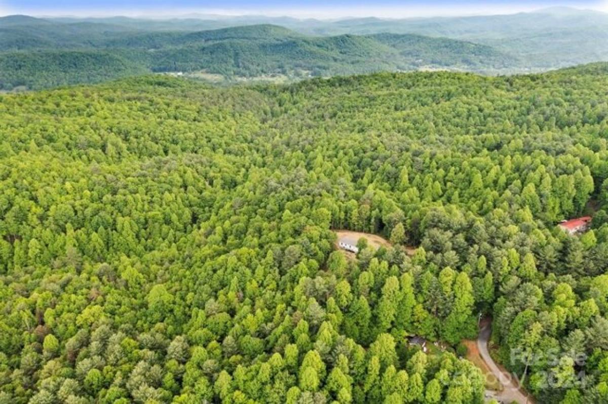 Picture of Residential Land For Sale in Hendersonville, North Carolina, United States