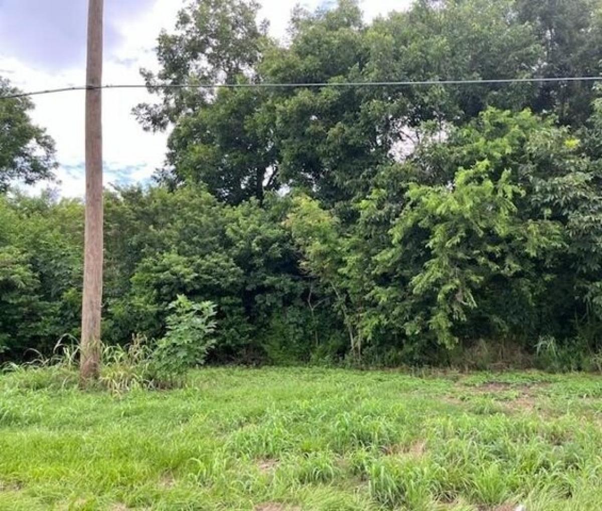 Picture of Residential Land For Sale in Braithwaite, Louisiana, United States