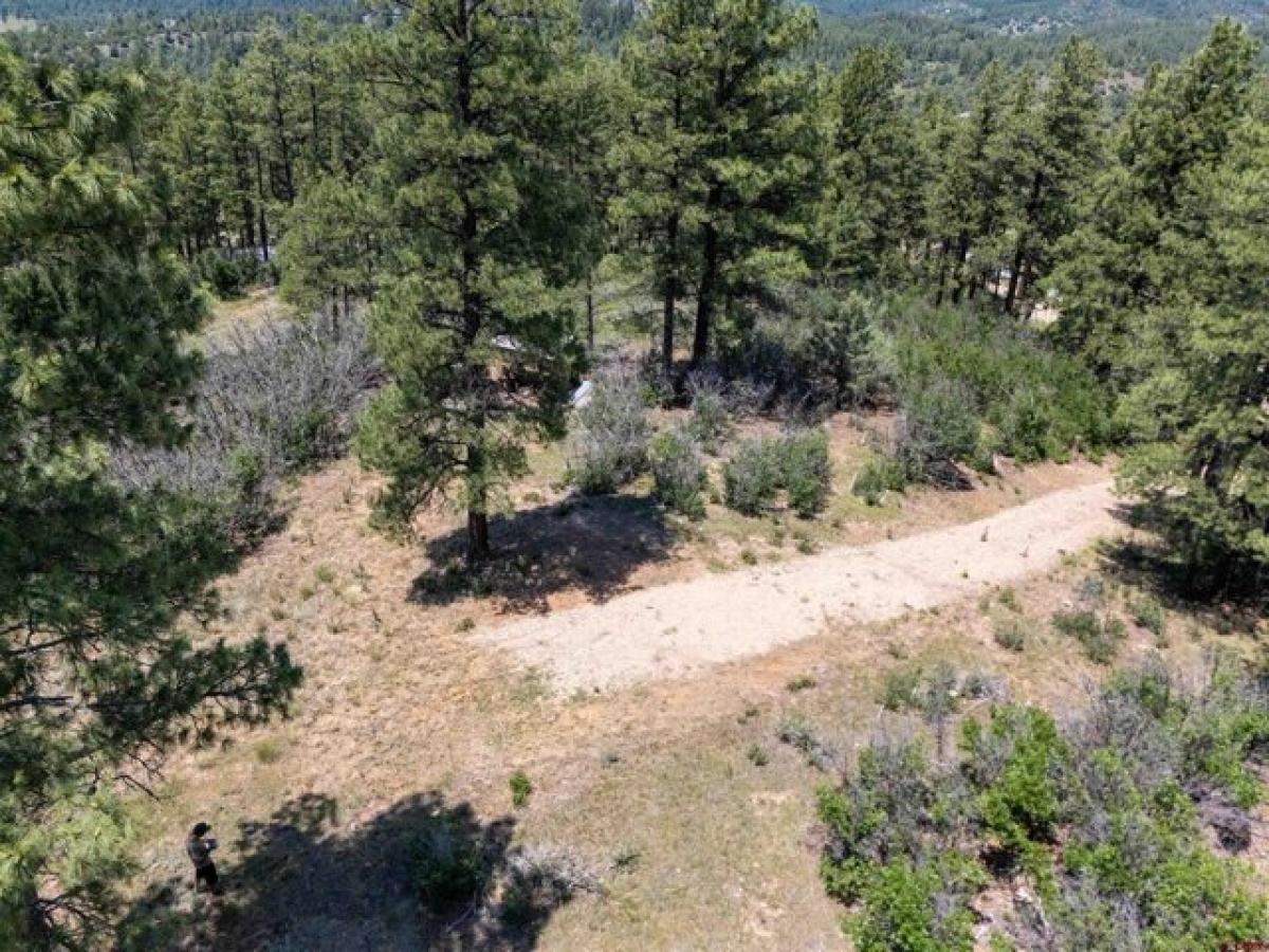 Picture of Residential Land For Sale in Pagosa Springs, Colorado, United States