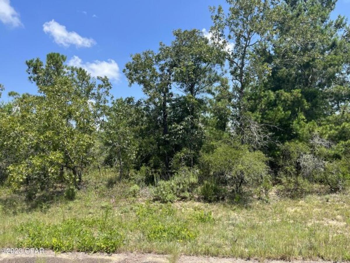Picture of Residential Land For Sale in Chipley, Florida, United States