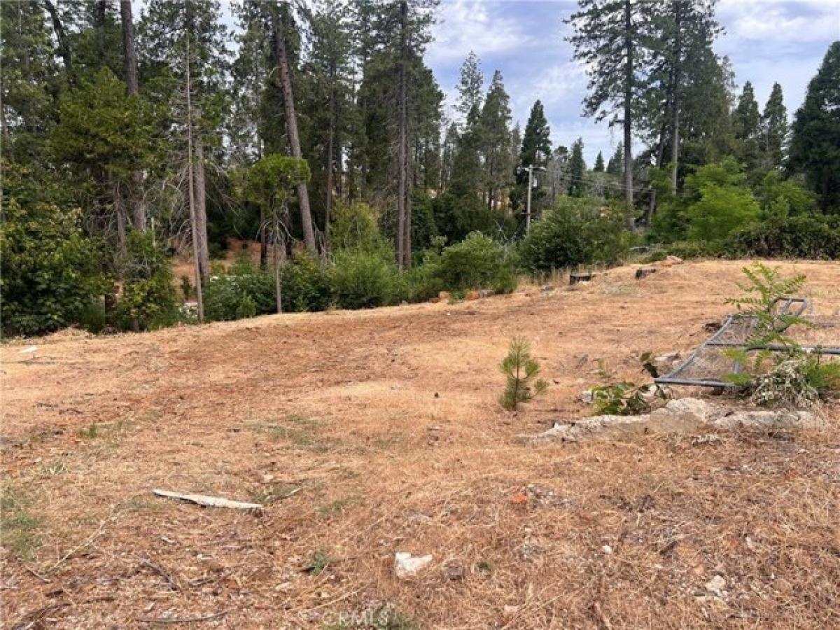 Picture of Residential Land For Sale in Paradise, California, United States