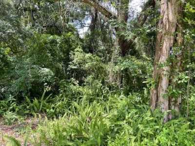 Residential Land For Sale in Brooksville, Florida