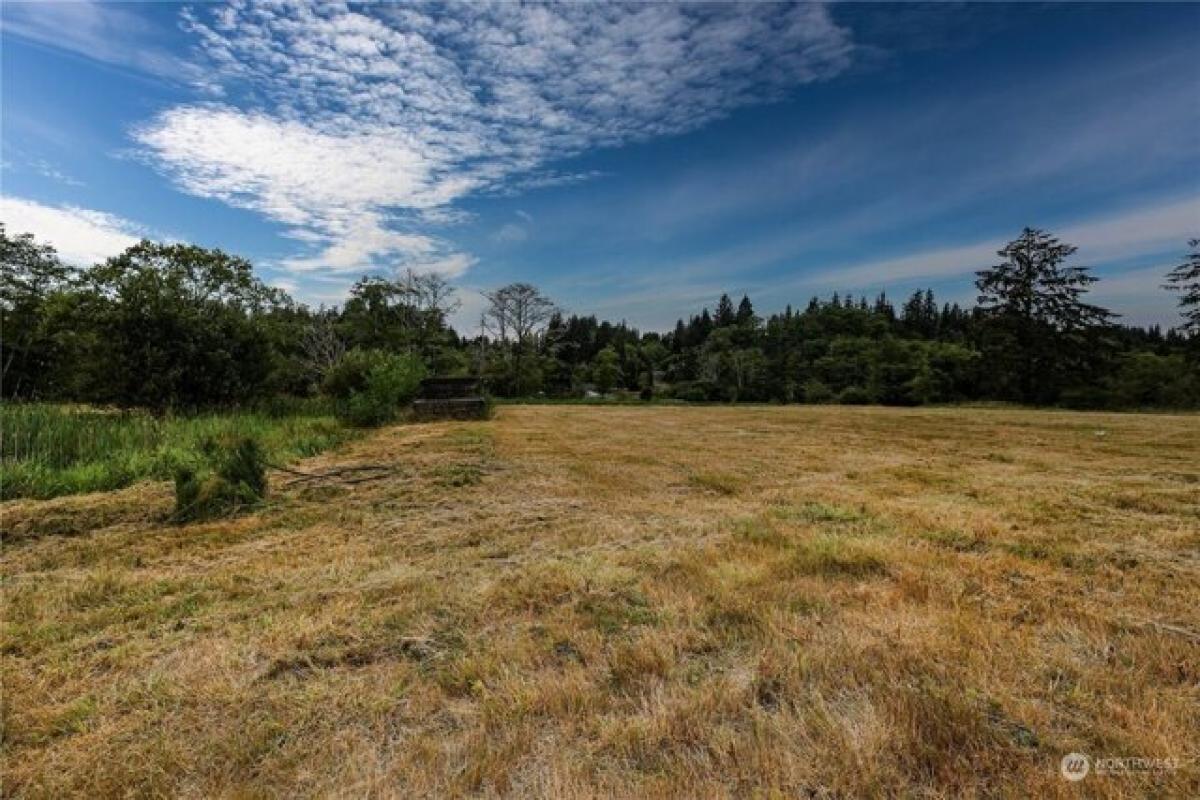 Picture of Residential Land For Sale in Aberdeen, Washington, United States