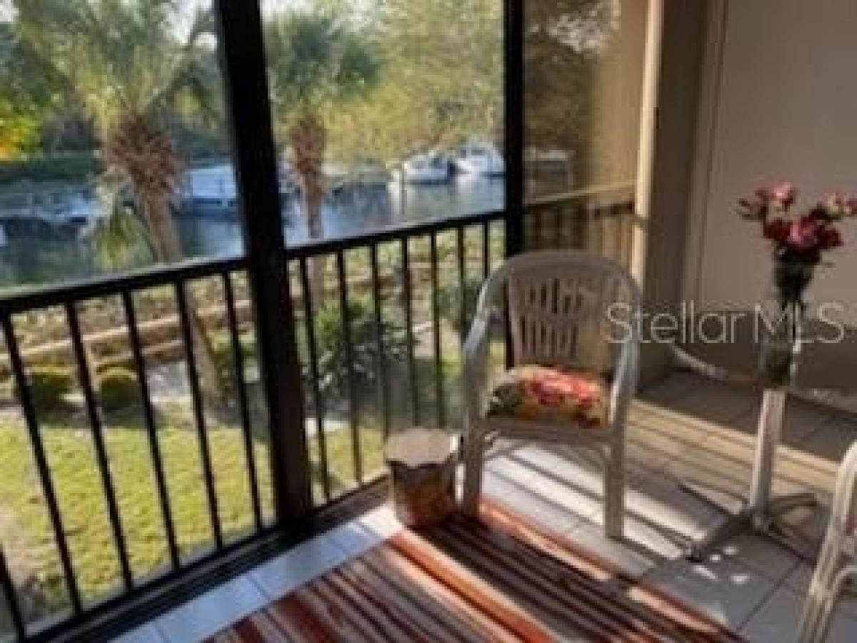 Picture of Home For Rent in Sarasota, Florida, United States