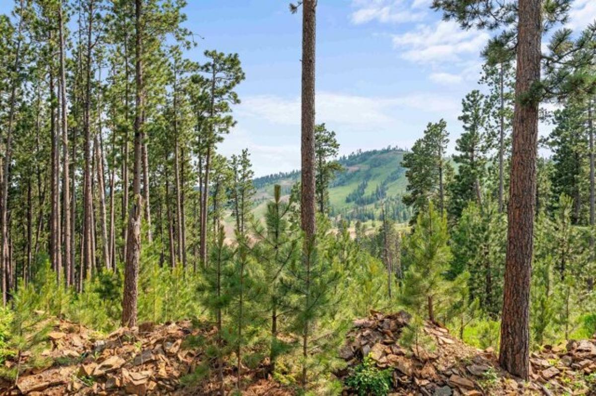 Picture of Residential Land For Sale in Lead, South Dakota, United States