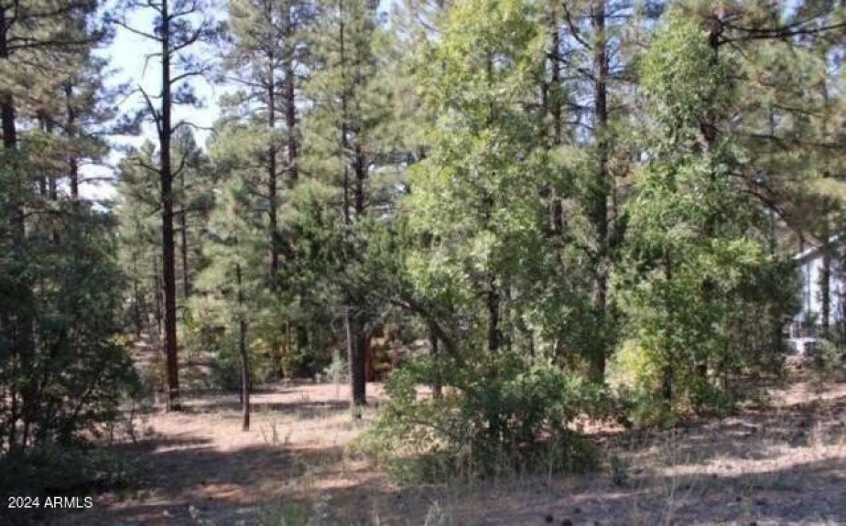 Picture of Residential Land For Sale in Show Low, Arizona, United States