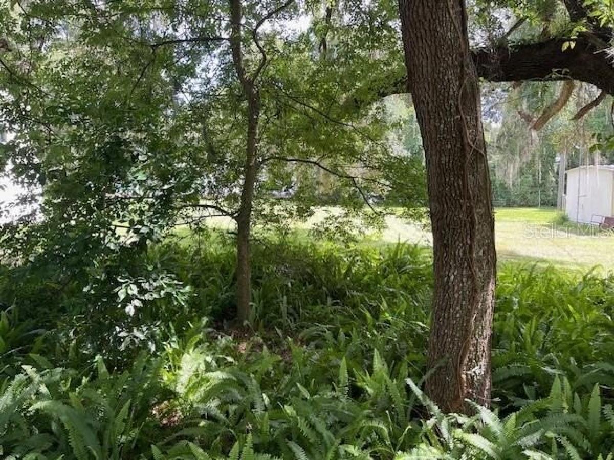 Picture of Residential Land For Sale in Brooksville, Florida, United States