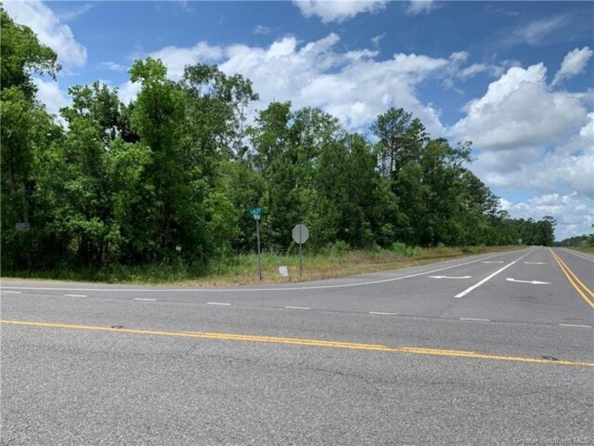 Picture of Residential Land For Sale in Dequincy, Louisiana, United States