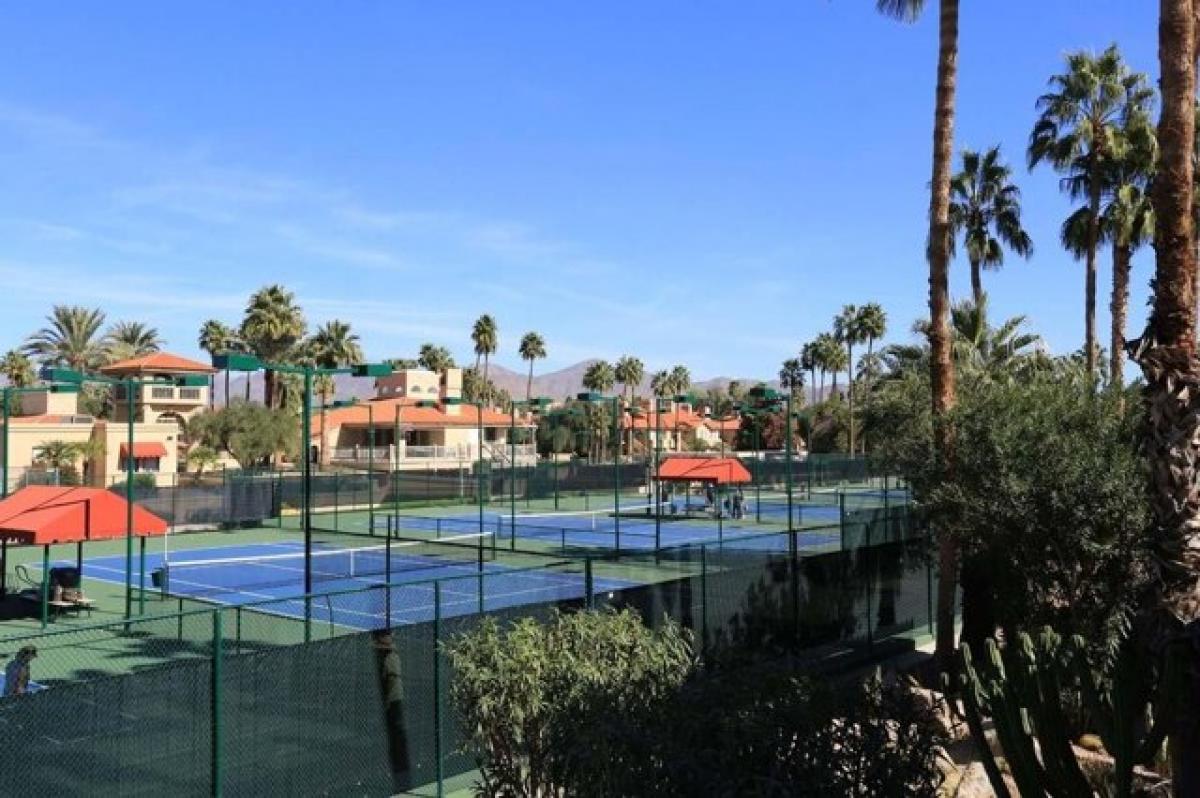 Picture of Apartment For Rent in Scottsdale, Arizona, United States