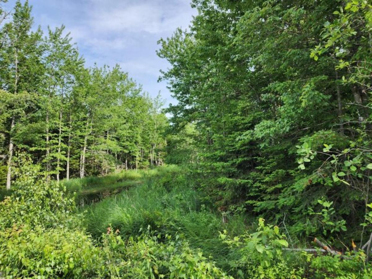 Picture of Residential Land For Rent in Trenton, Maine, United States