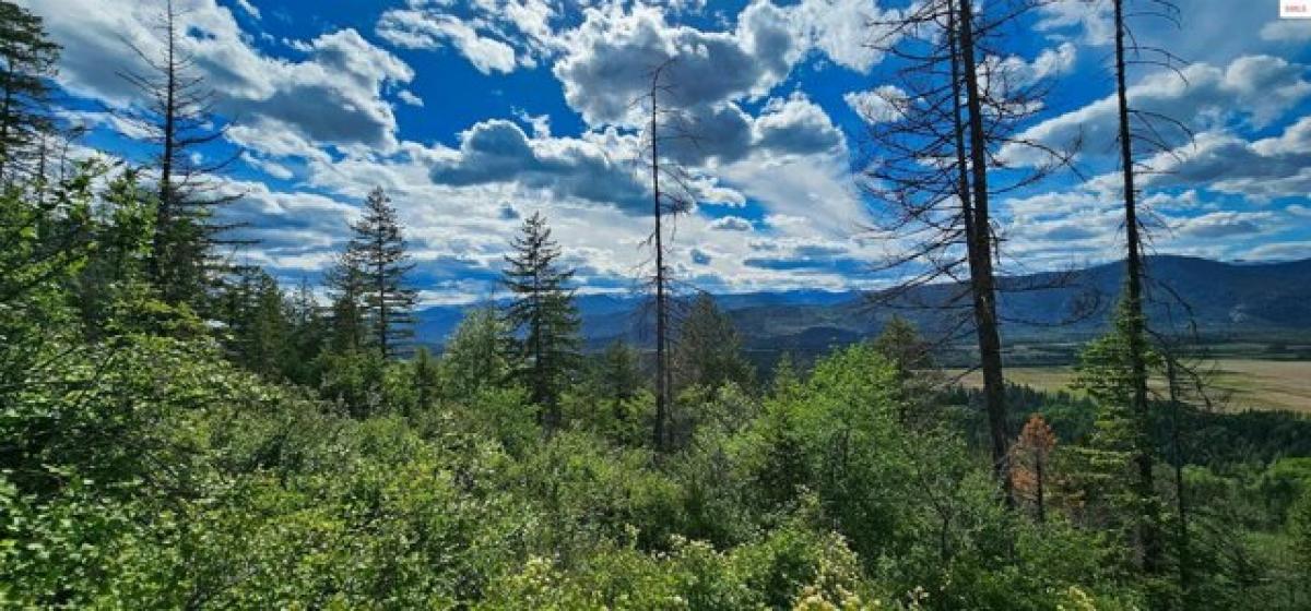 Picture of Residential Land For Sale in Sandpoint, Idaho, United States