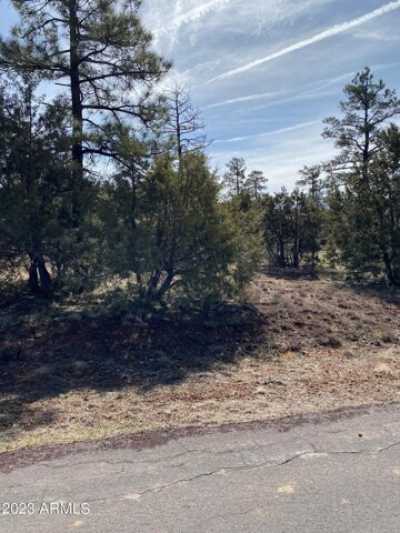 Residential Land For Sale in Lakeside, Arizona