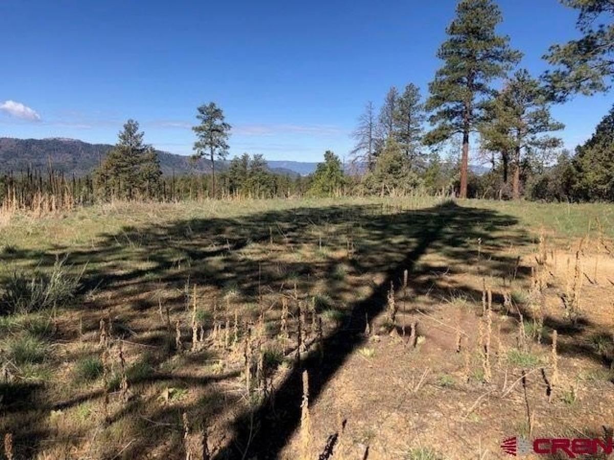 Picture of Residential Land For Sale in Pagosa Springs, Colorado, United States