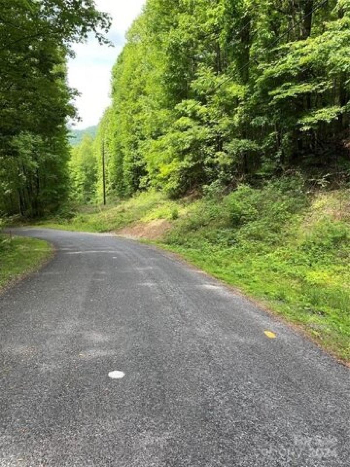 Picture of Residential Land For Rent in Old Fort, North Carolina, United States