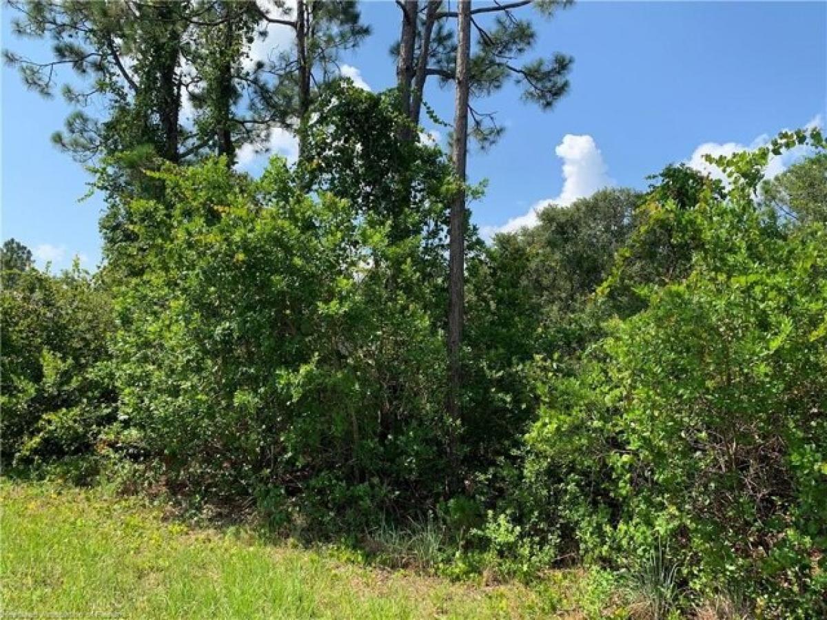 Picture of Residential Land For Sale in Lake Placid, Florida, United States