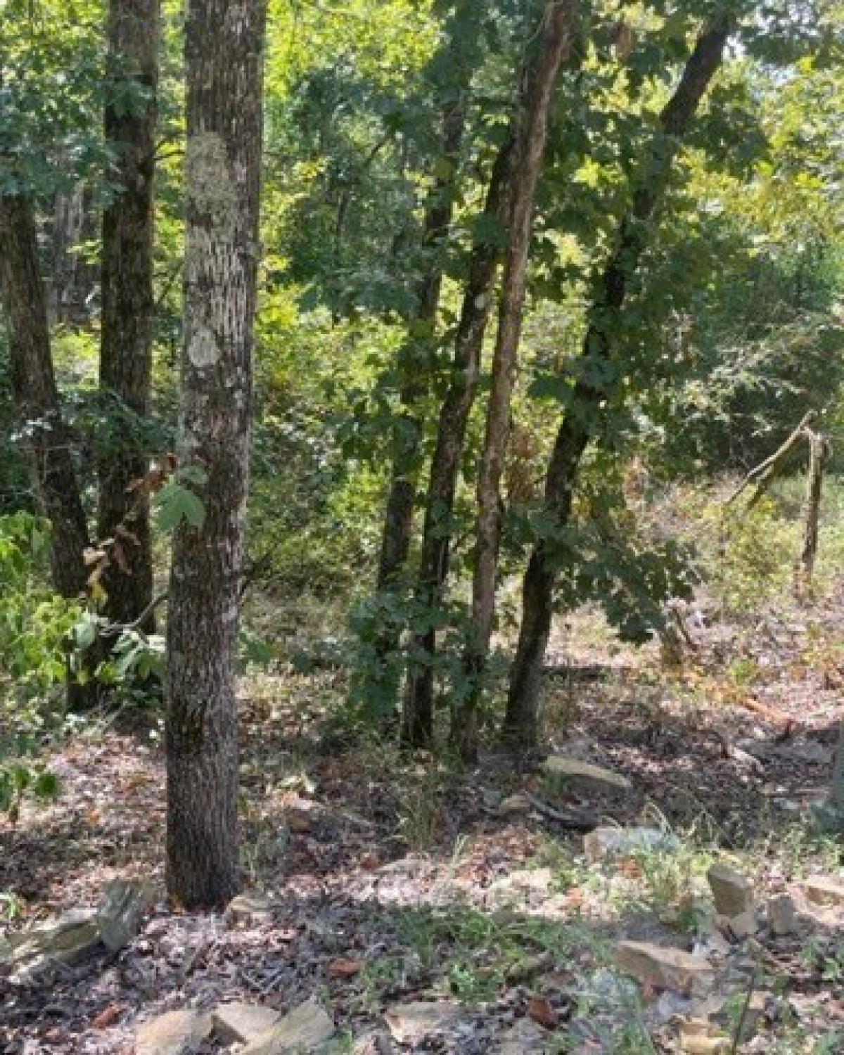 Picture of Residential Land For Sale in Broken Bow, Oklahoma, United States