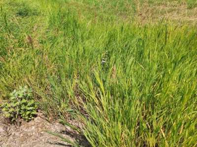 Residential Land For Sale in Spokane, Washington